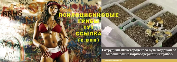 a pvp Карпинск